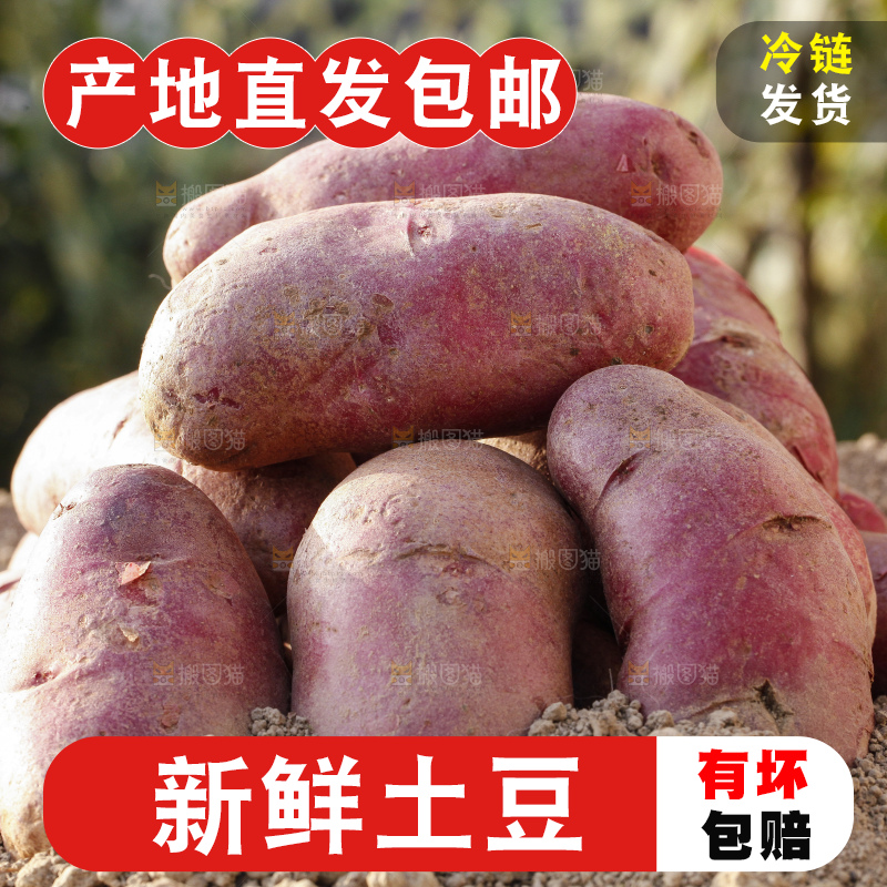 土地上放着红心土豆