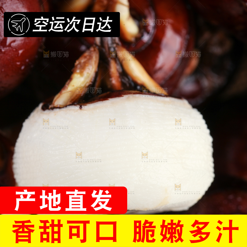 深底上的广西荔浦马蹄