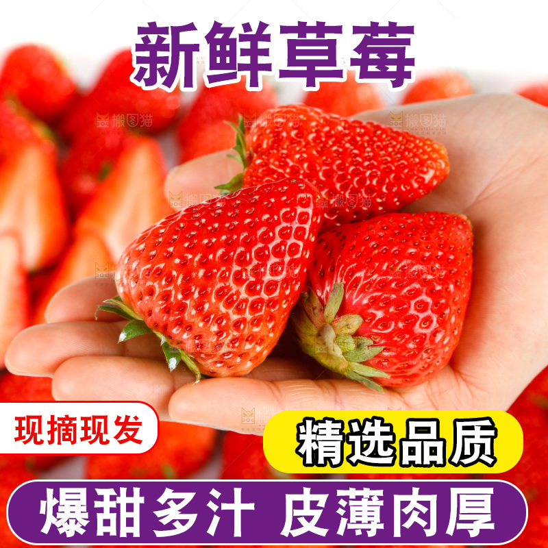手里捧着草莓