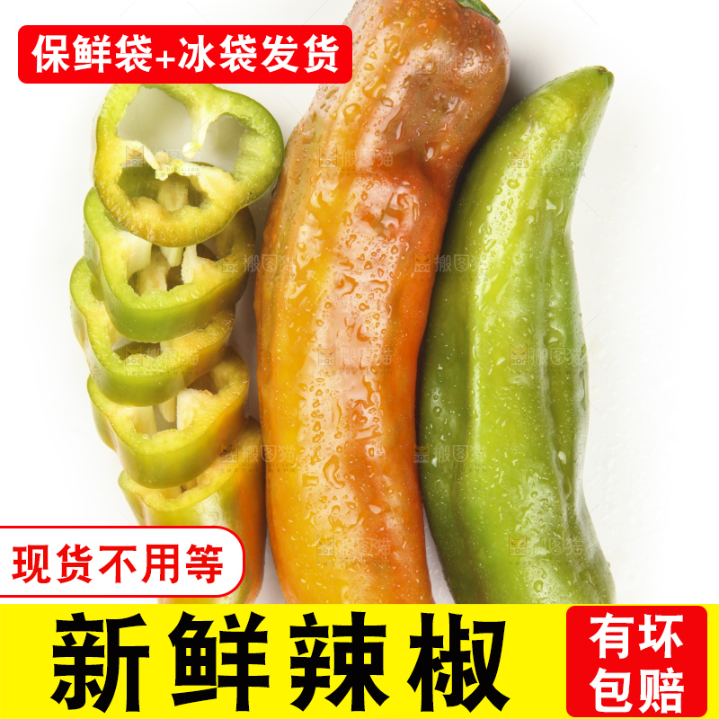 白底上的彩色辣椒
