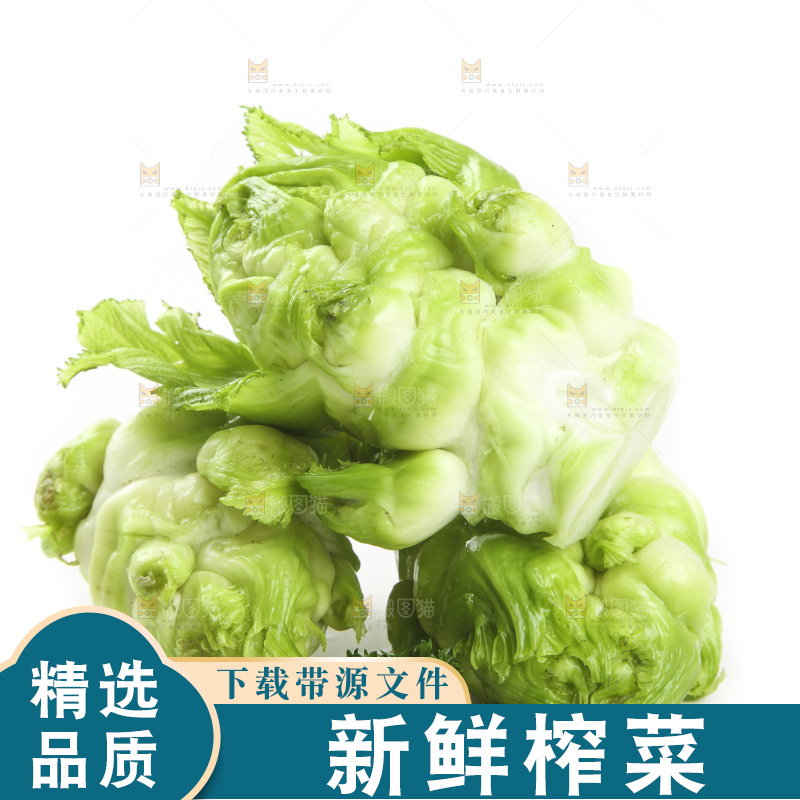 白底上的大头菜疙瘩