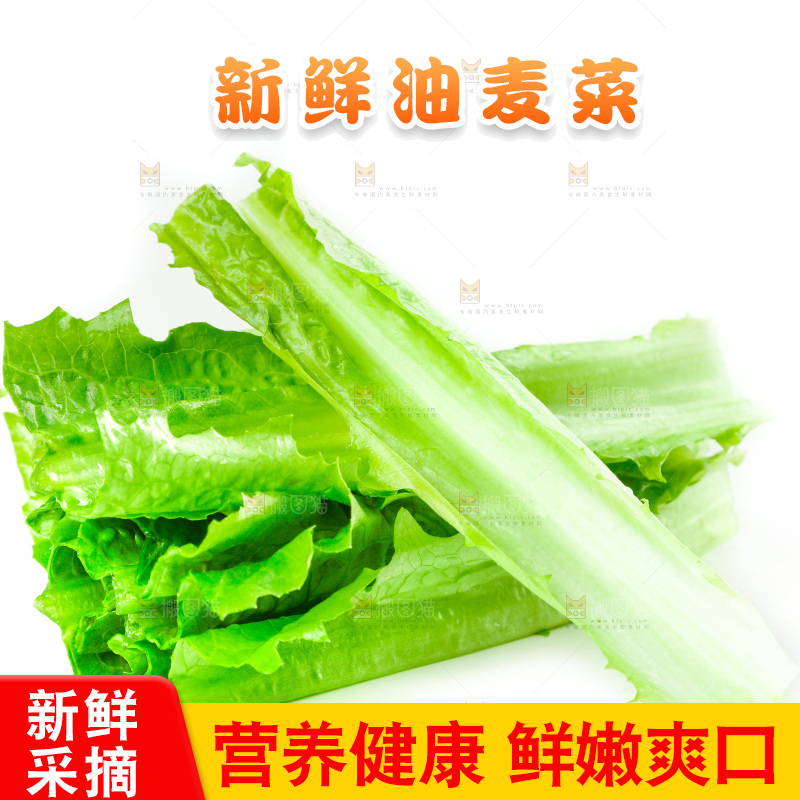 白底上放着油麦菜