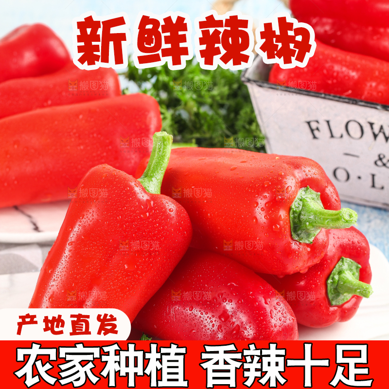 石板上的山东红辣椒