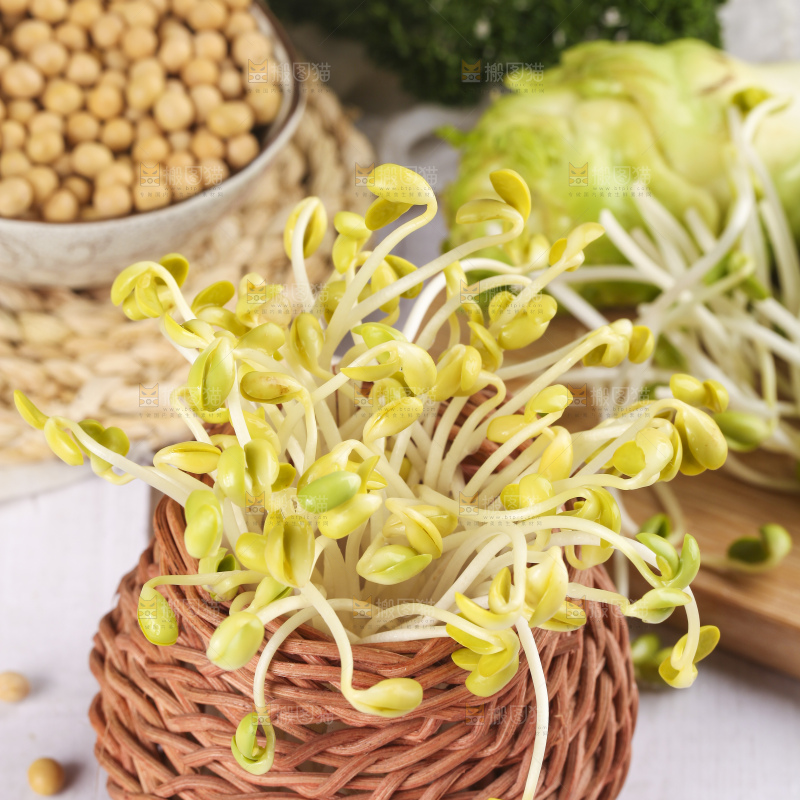 篮子里装着豆芽