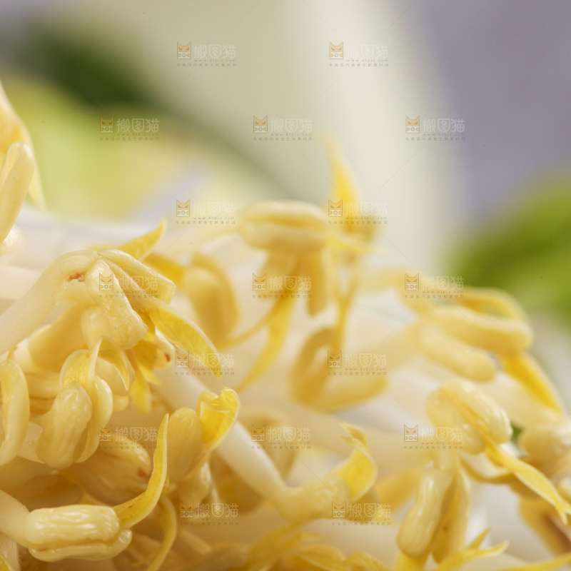 盘子里装着绿豆芽