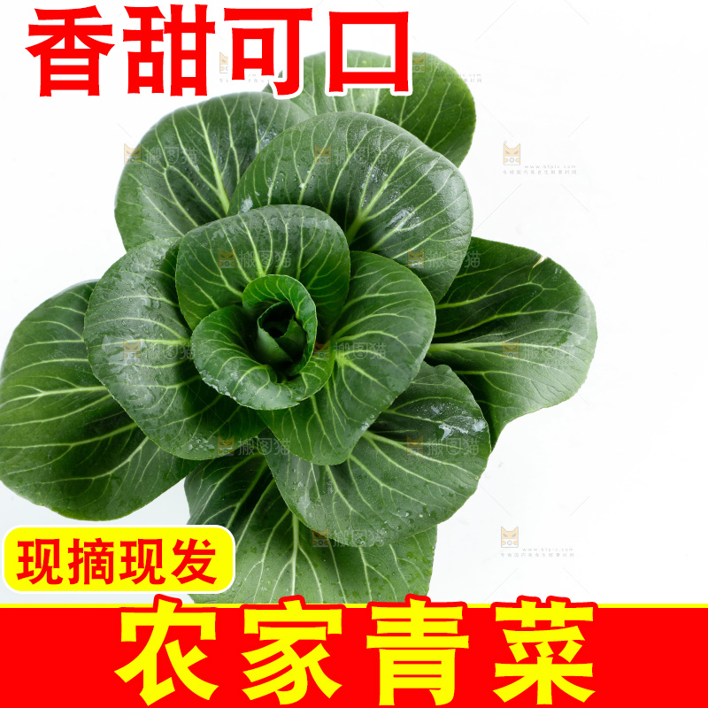 白底上放着上海青