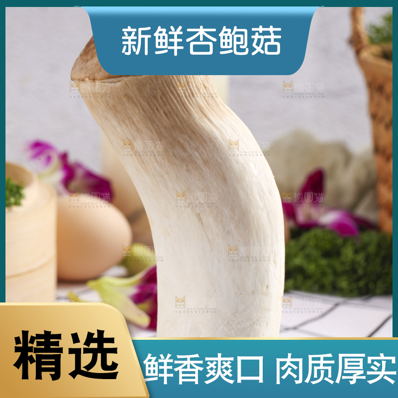 石板上摆放着鸡腿菇