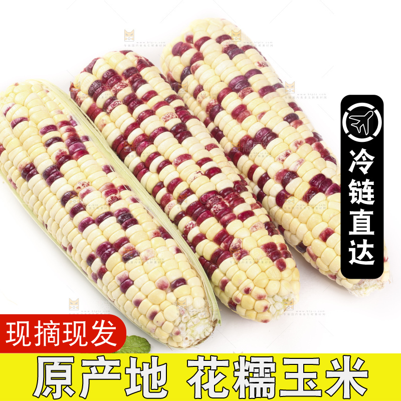 剥皮的花糯玉米放在白底上