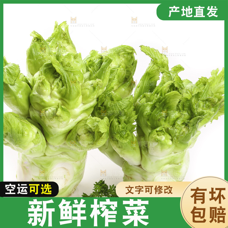 白底上的大头菜疙瘩