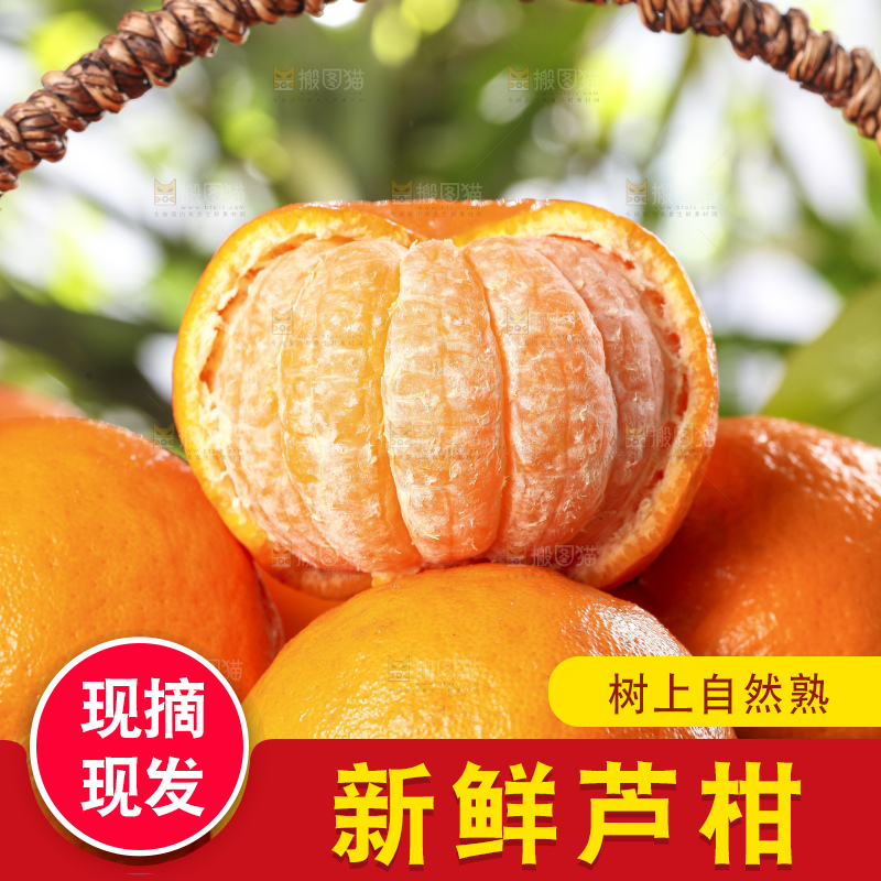 篮子里装着新鲜芦柑