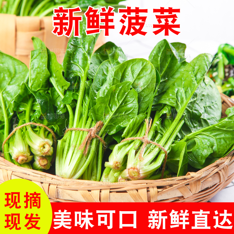 白格子底上的嫩菠菜
