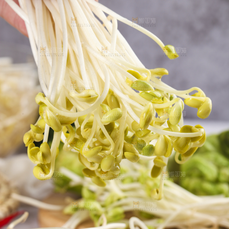 手里拿着黄豆芽