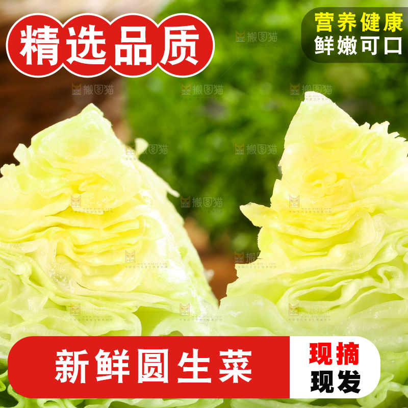 深底上的圆形生菜