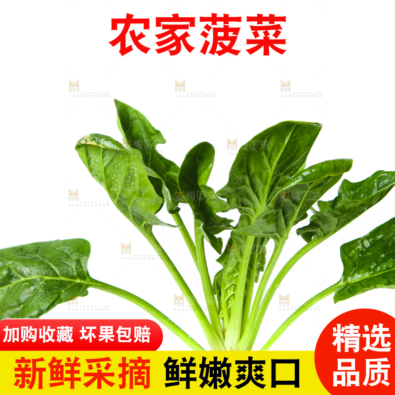 白底上放着菠菜