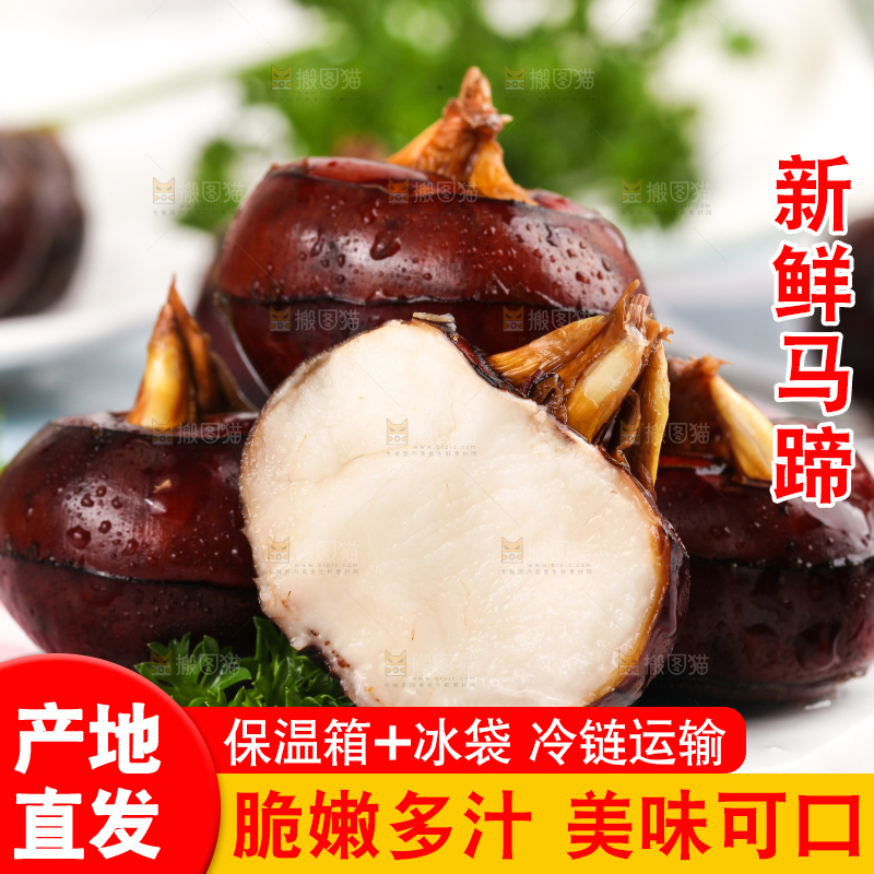 彩底上放着红马蹄