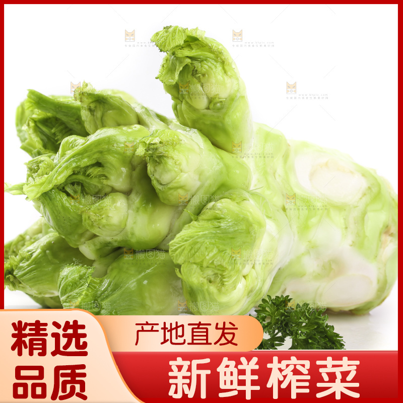 白底上的大头菜疙瘩