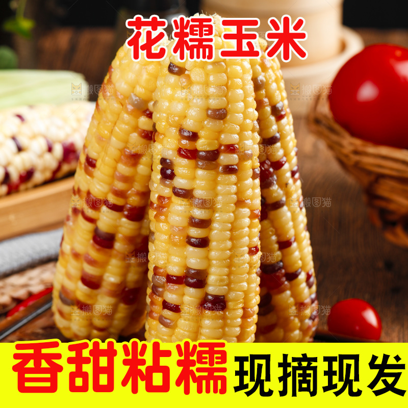 木底上的熟花糯玉米