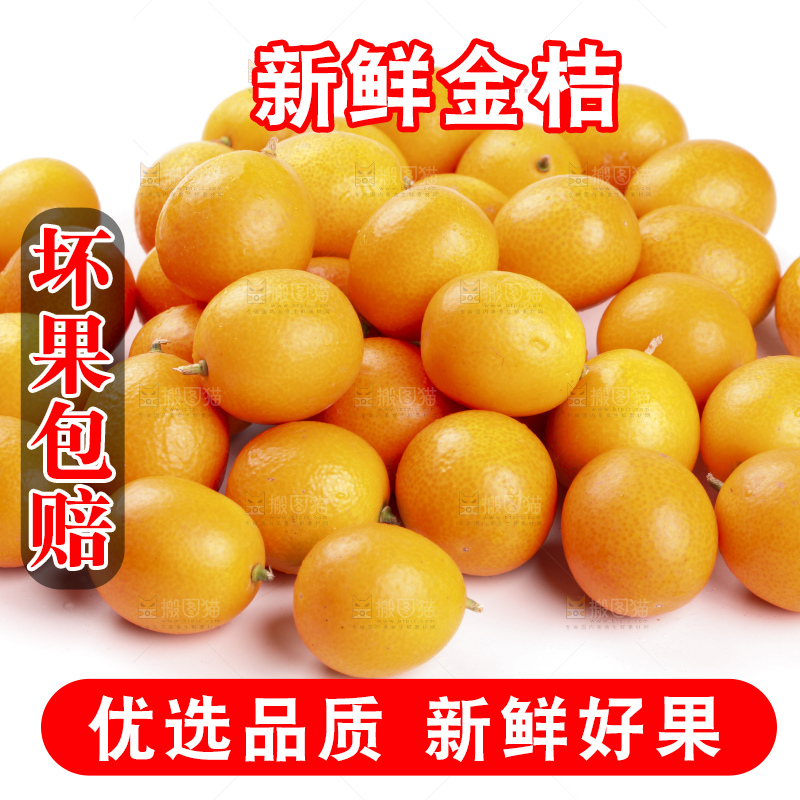 白底上的阳朔脆皮金桔