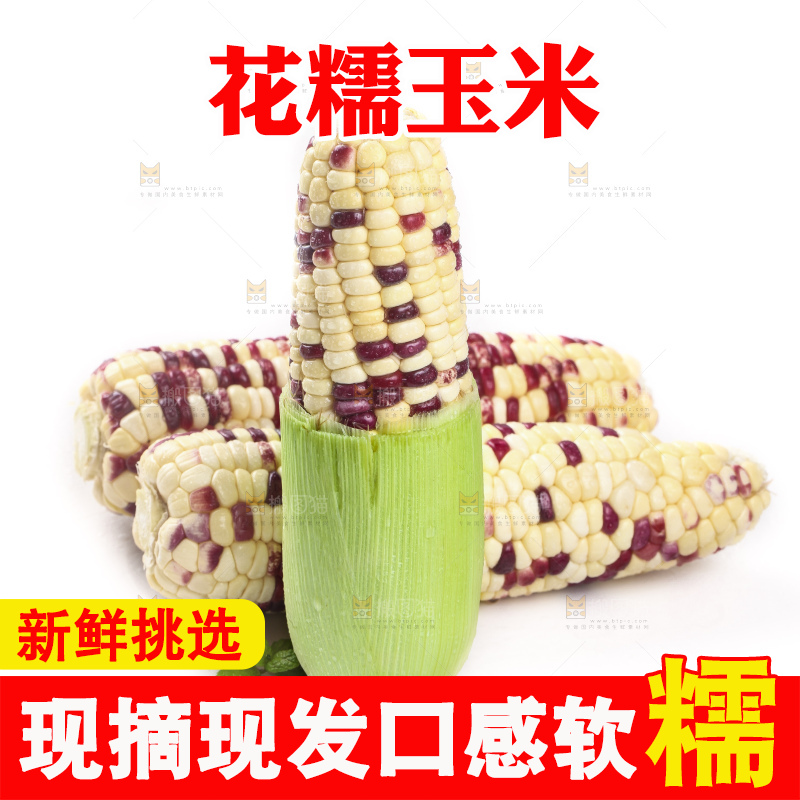 剥皮的花糯玉米放在白底上