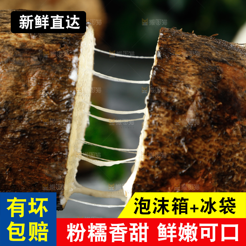 黑底上的金秤砣山药