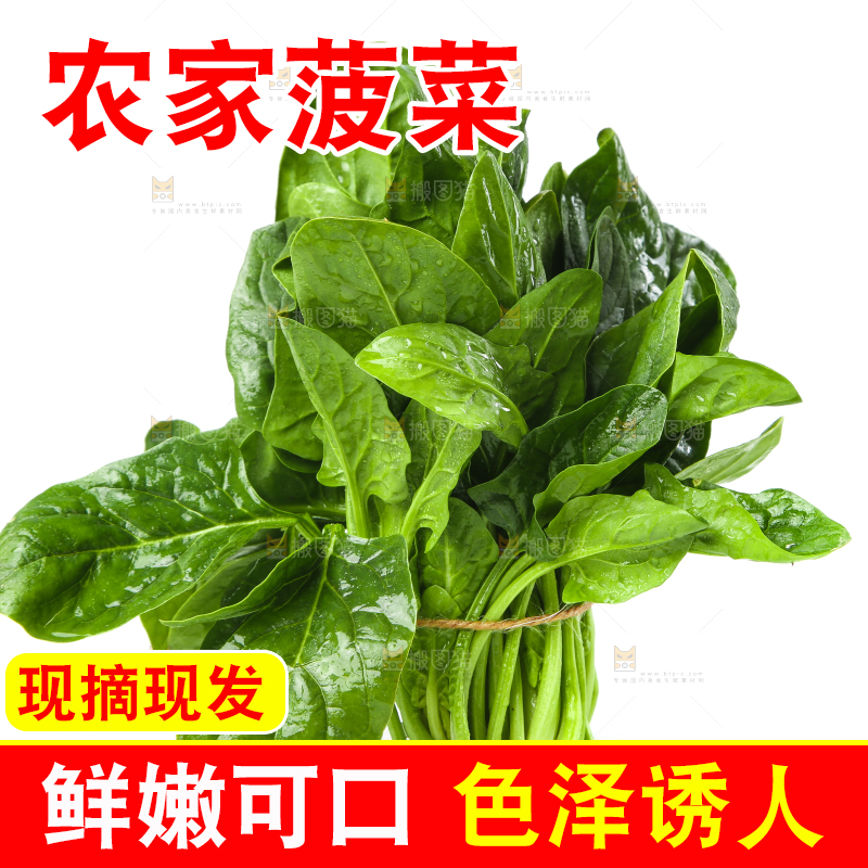 白底上放着菠菜