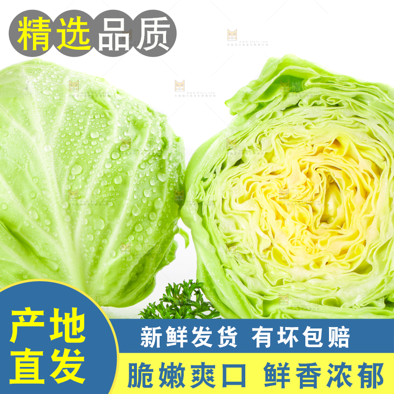 白底上摆放着包菜