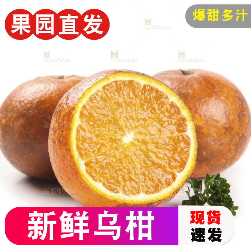 白底上放着新鲜乌柑