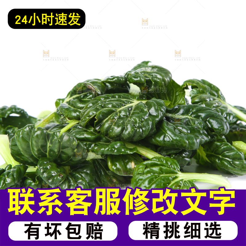 白底上的菊花菜
