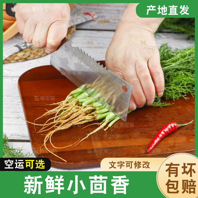 木板上的云南小茴香菜