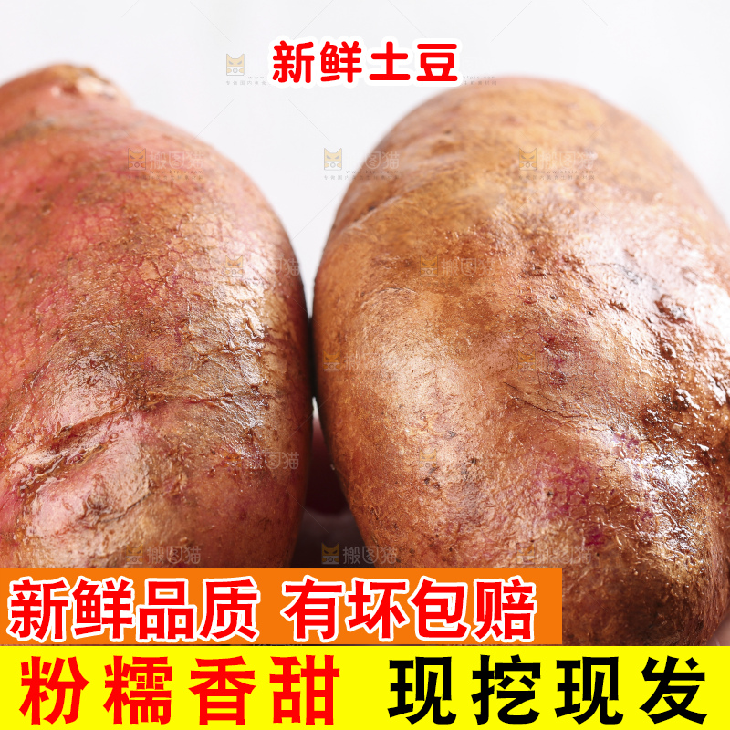 手里拿着彩色土豆