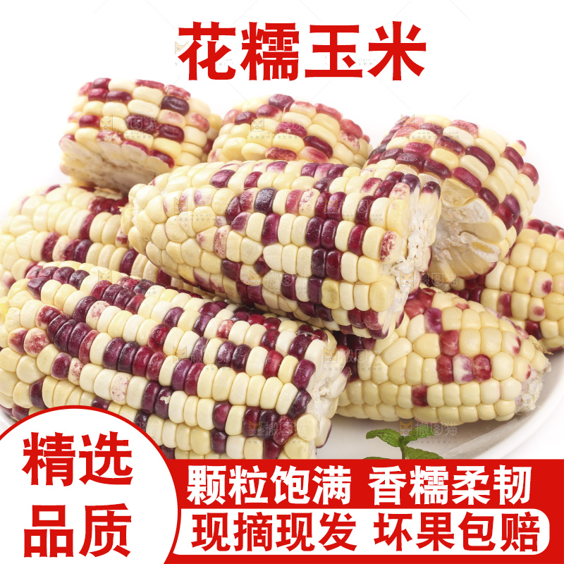 白底上放着一盘糯玉米