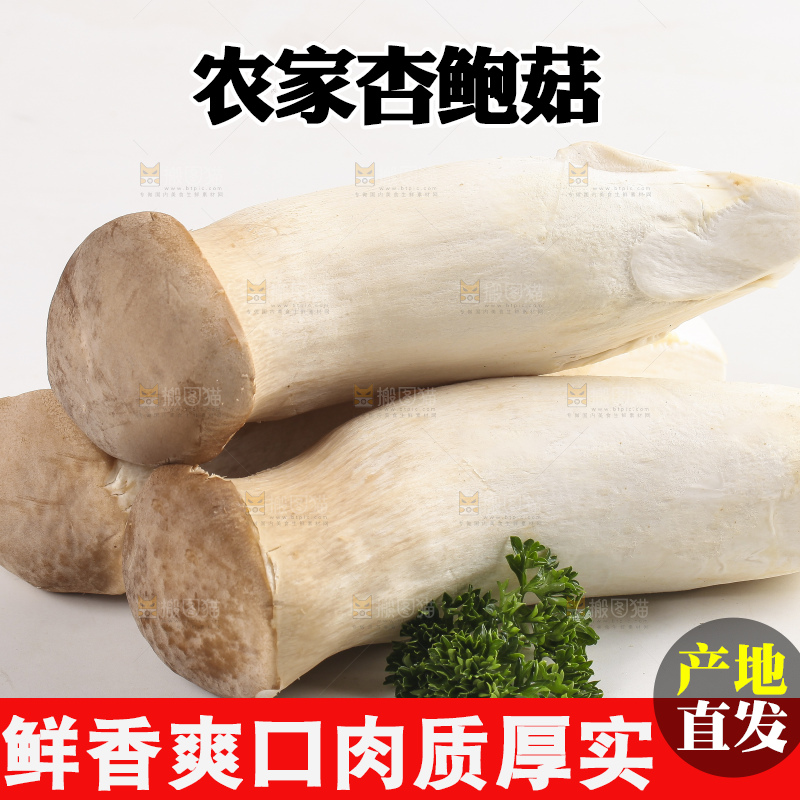 白底上放着新鲜杏鲍菇