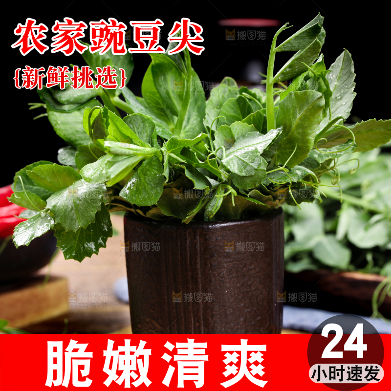 深底上的四川豌豆尖