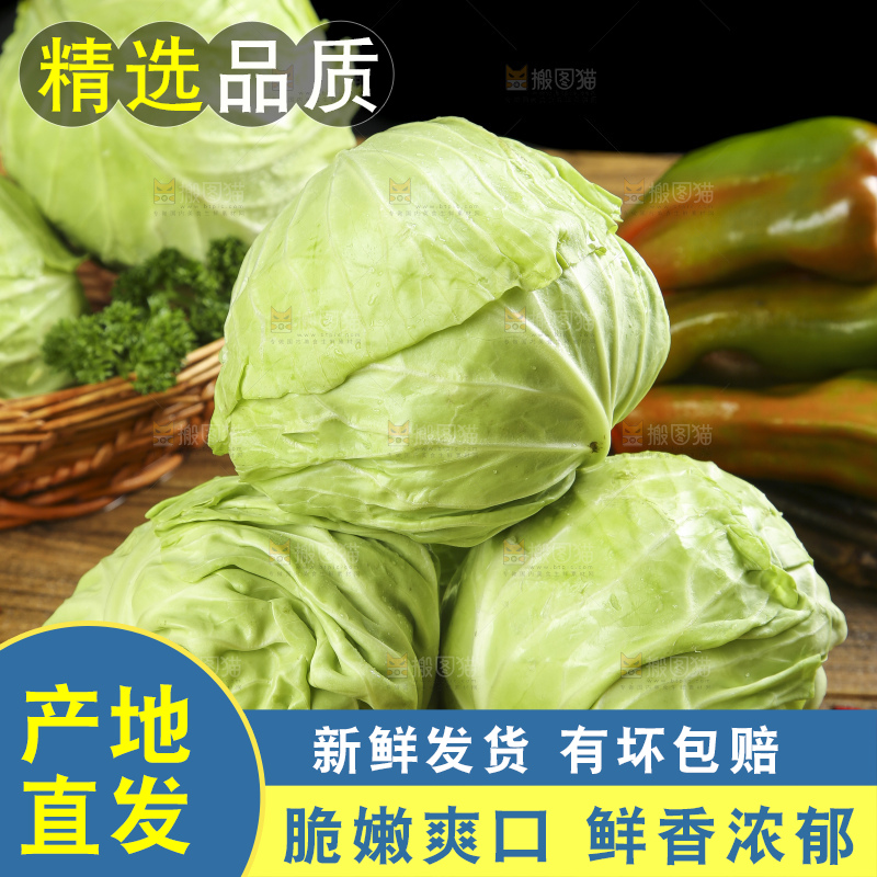 木底上放着一盘孢子甘蓝