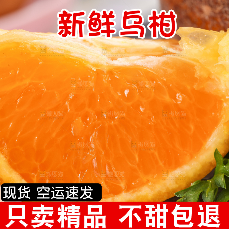 板子上摆放着广西乌柑