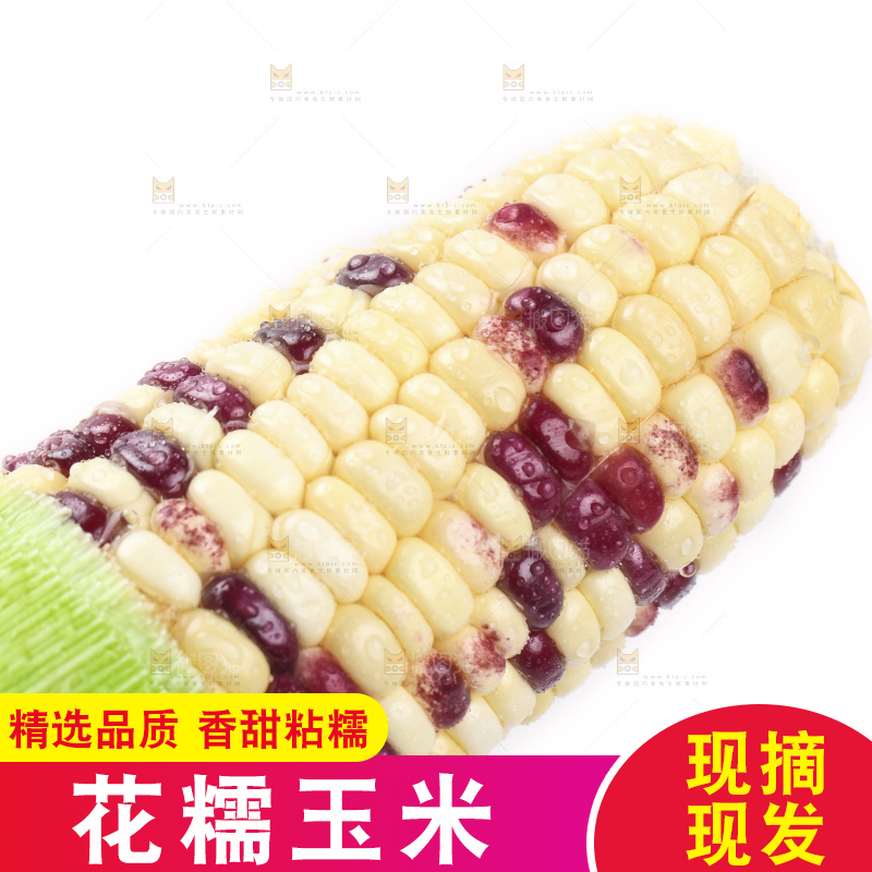 白底上放着剥皮的花糯玉米
