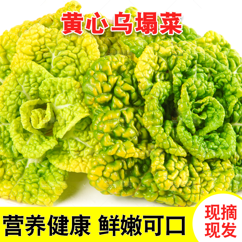 白底上摆放着黄心白菜