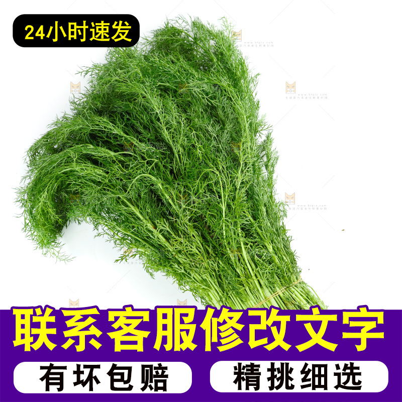 浅底上的茴香菜