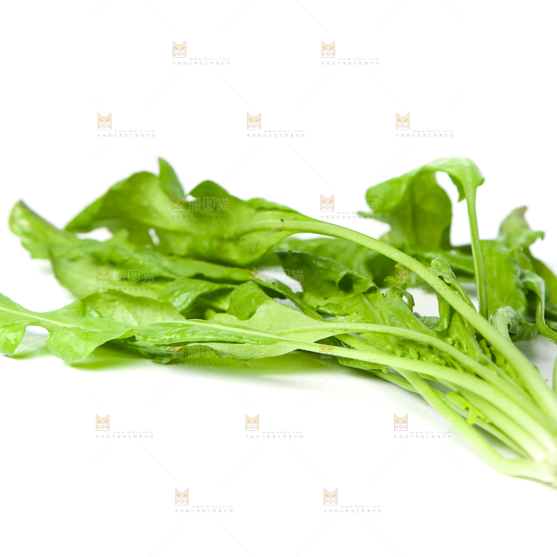 白底上的地菜