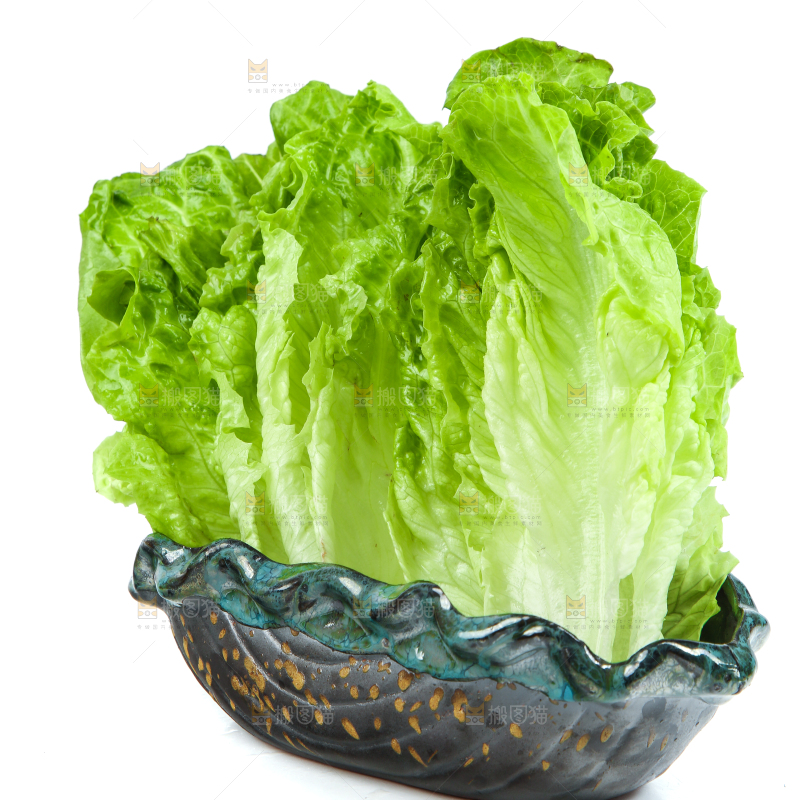 白底上的生菜