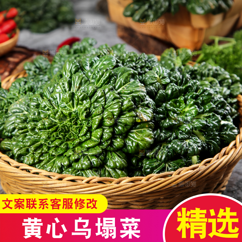 篮子里装着乌塌菜
