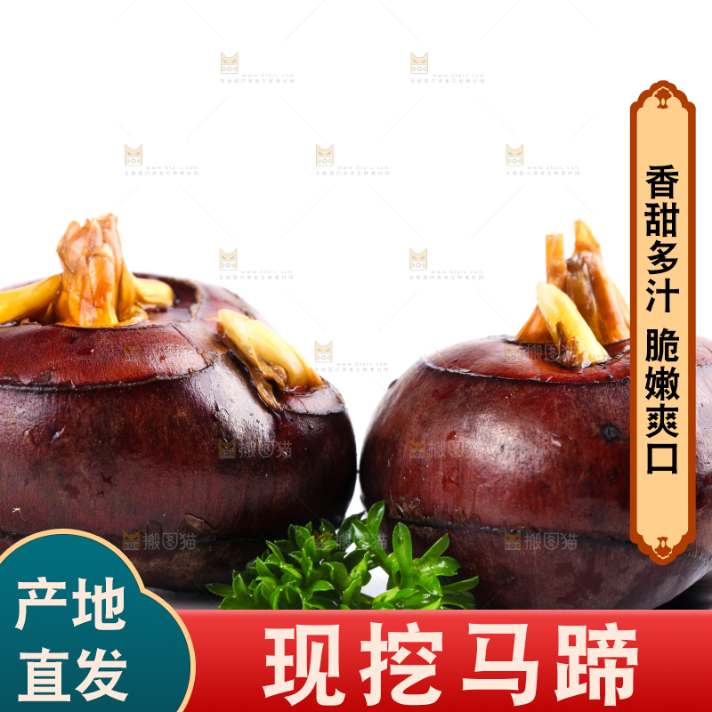 白底上摆放着乐昌北乡马蹄