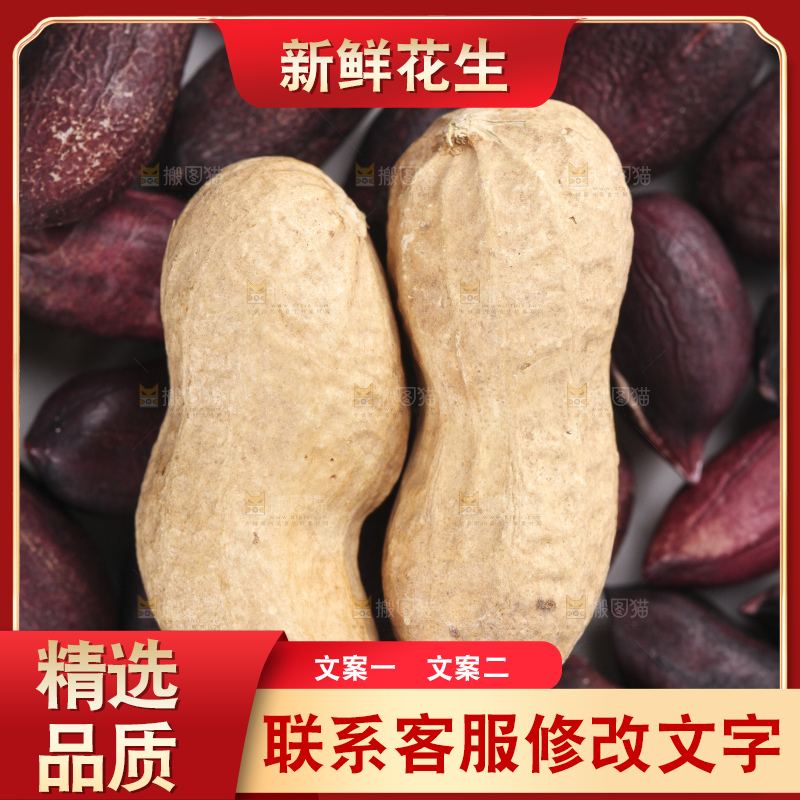 白底上的黑皮花生