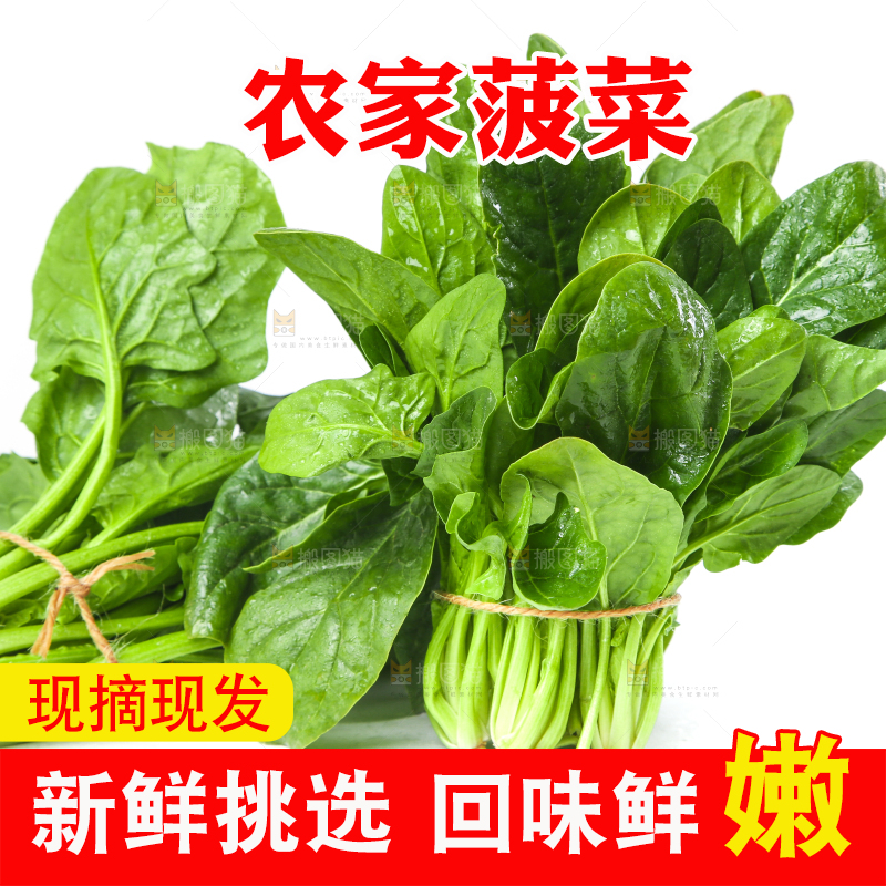 白底上的大叶菠菜