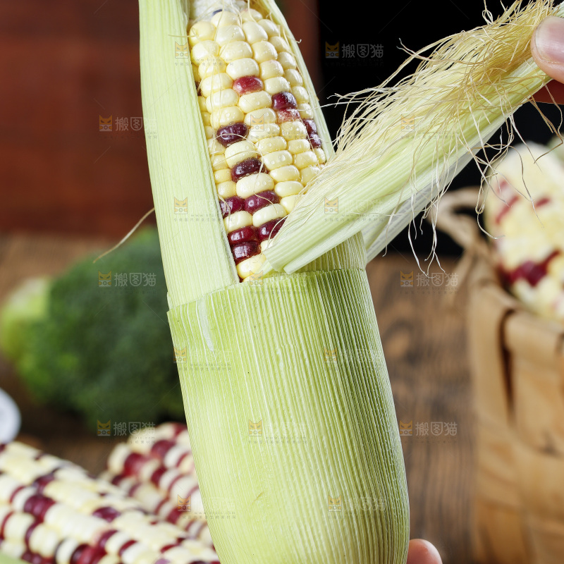 手拿花糯玉米