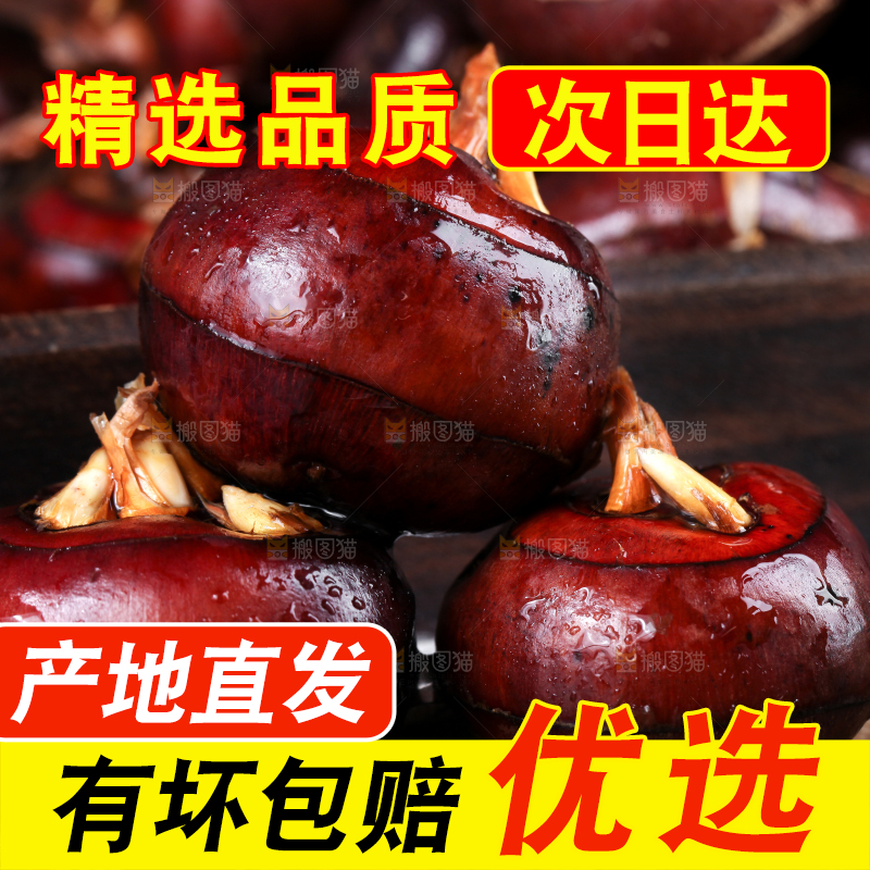 竹底上放着农家马蹄
