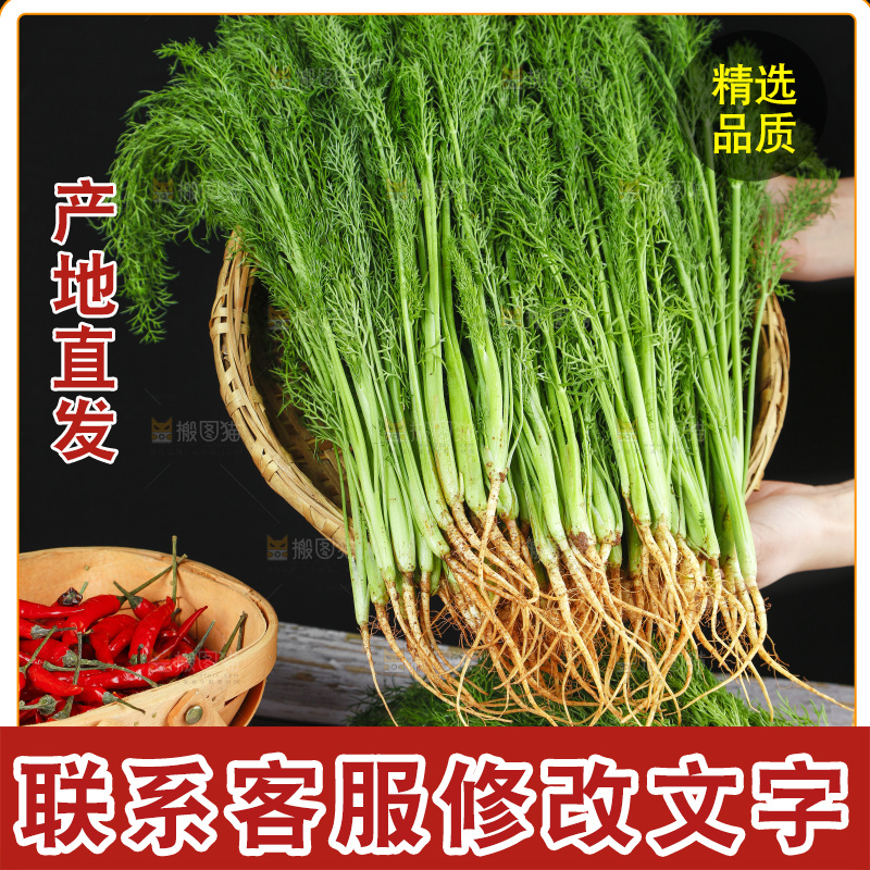 木底上的小茴香菜