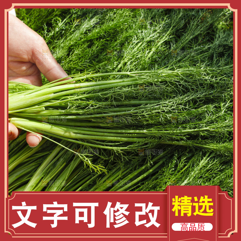 手里拿着小茴香