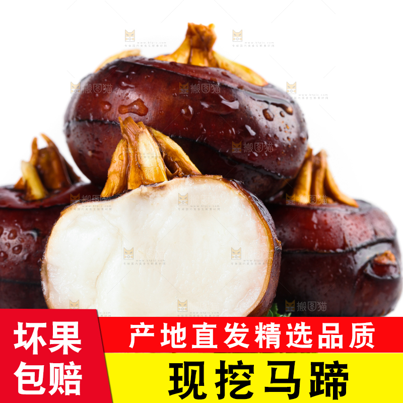 白底上摆放着乐昌北乡马蹄