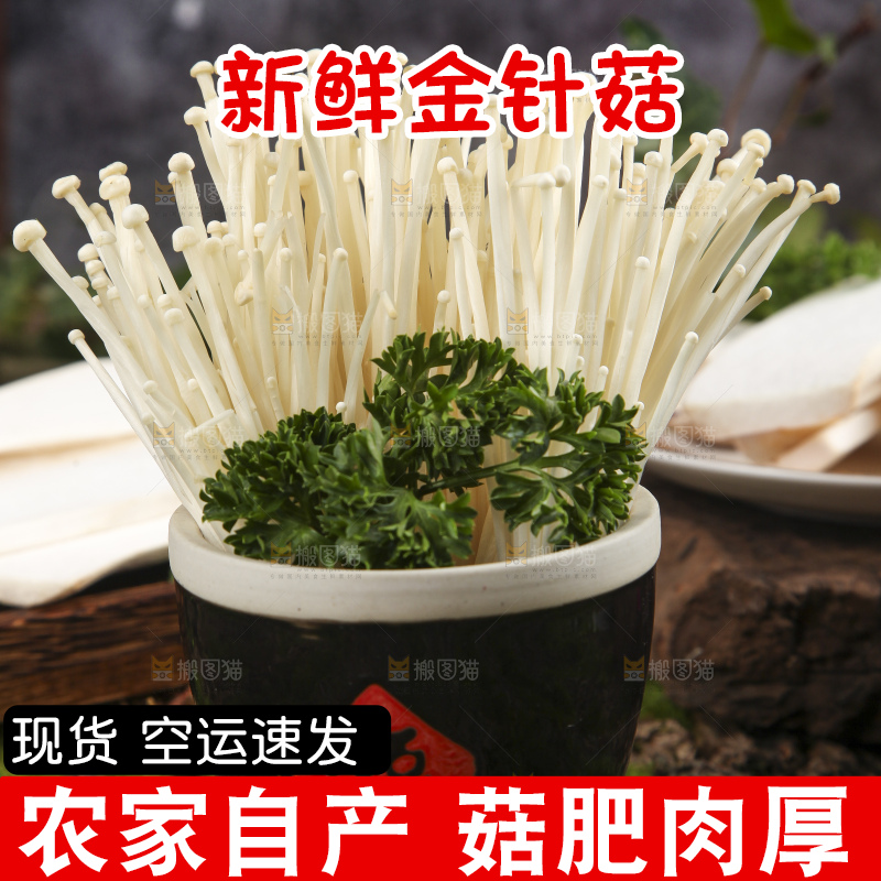 杯子里装着新鲜金针菇
